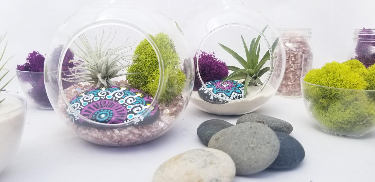 Air Plant Terrarium Class